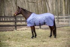 TuffRider Comfy Plus Standard Neck Fly Sheet