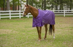 TuffRider 1680 D Super Comfy Medium Weight 200 Gms Standard Neck Blanket