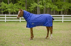 TuffRider 1680 D Super Comfy Heavy Weight 350 Gms Detachable Neck Blanket