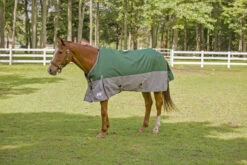 TuffRider Bonum 1200D Medium Weight Standard Neck Two Tone Turnout Blanket W/ 200gms Of Fill