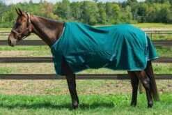 TuffRider Bonum 1200D Ripstop Coolmax Lightweight 3 Season Turnout Sheet