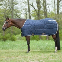 Big D Kodiak Stable Blanket