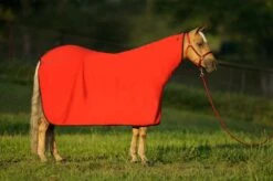 Big D Polar Fleece Cooler