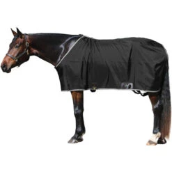 Big D Nylon Stable Sheet W/ Closed Front