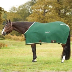 Big D Nylon Stable Sheet W/ Open Front