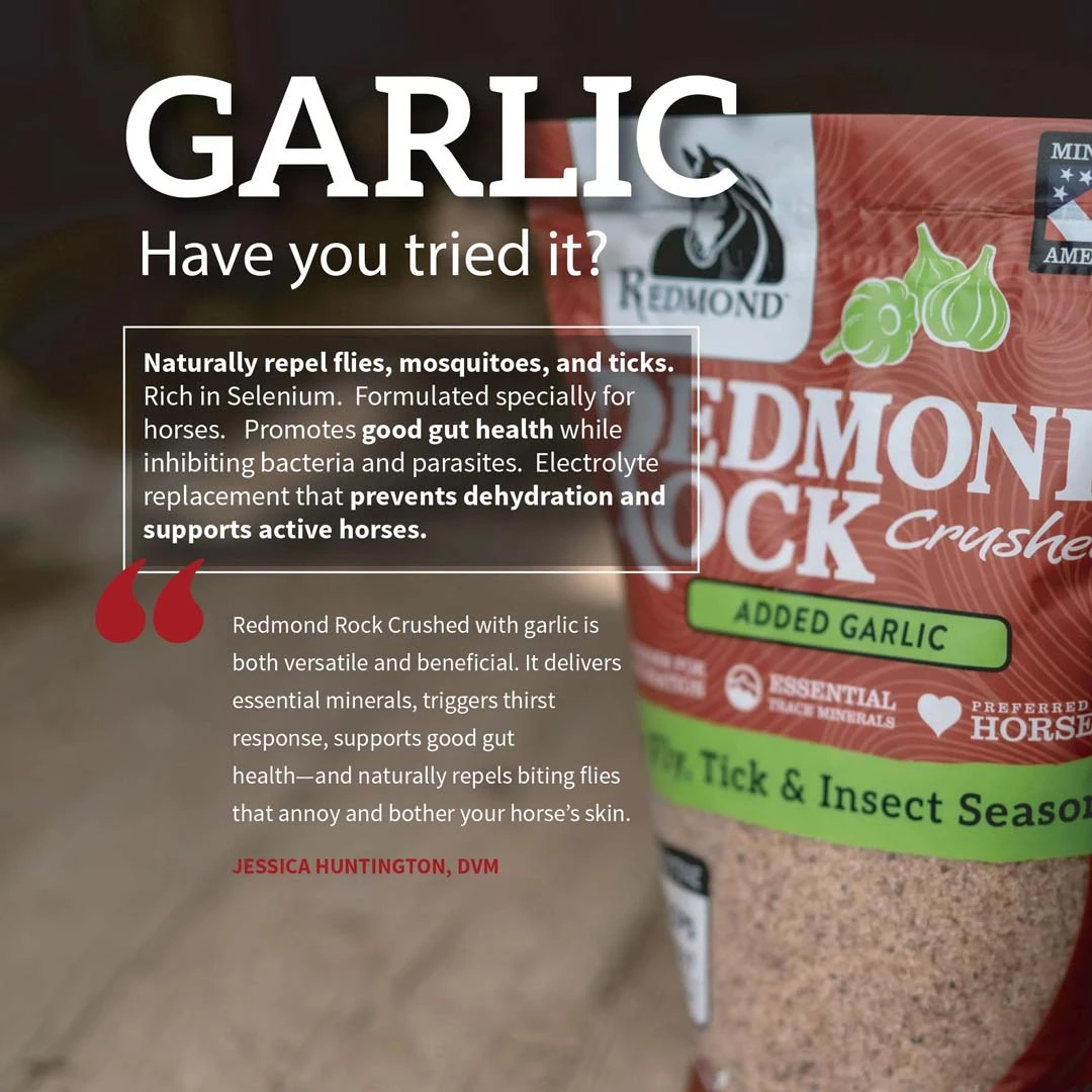 Redmond Rock Crushed W/Garlic - Image 3