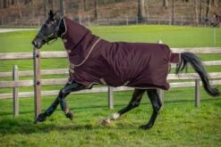 Horseware Ireland Amigo® Hero Ripstop Plus Turnout (0g Lite)