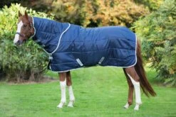 Horseware Ireland Amigo® Insulator Plus Turnout W/ Hood (200g Medium)