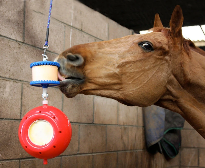 Likit Boredom Breaker - Image 2