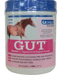 Uckele Gut Digestive And GI Support Powder- 2 Lb