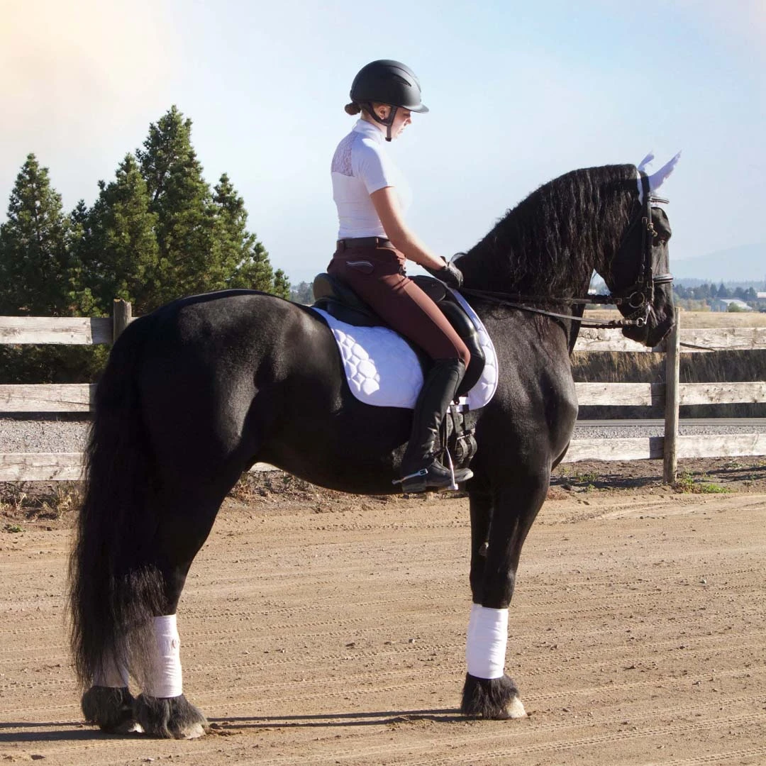 Equine Couture Fly Bonnet With Pearls And Crystals - Image 8