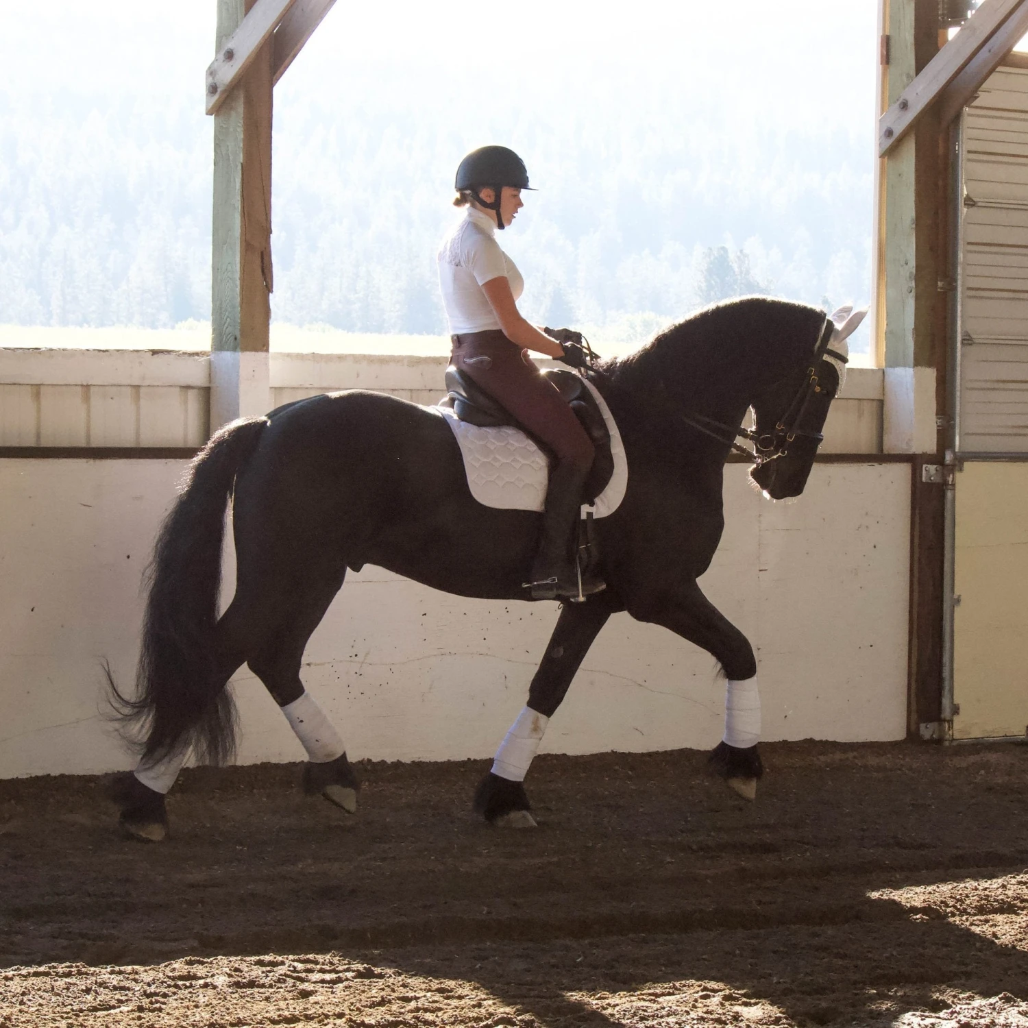 Equine Couture Fly Bonnet With Pearls And Crystals - Image 6