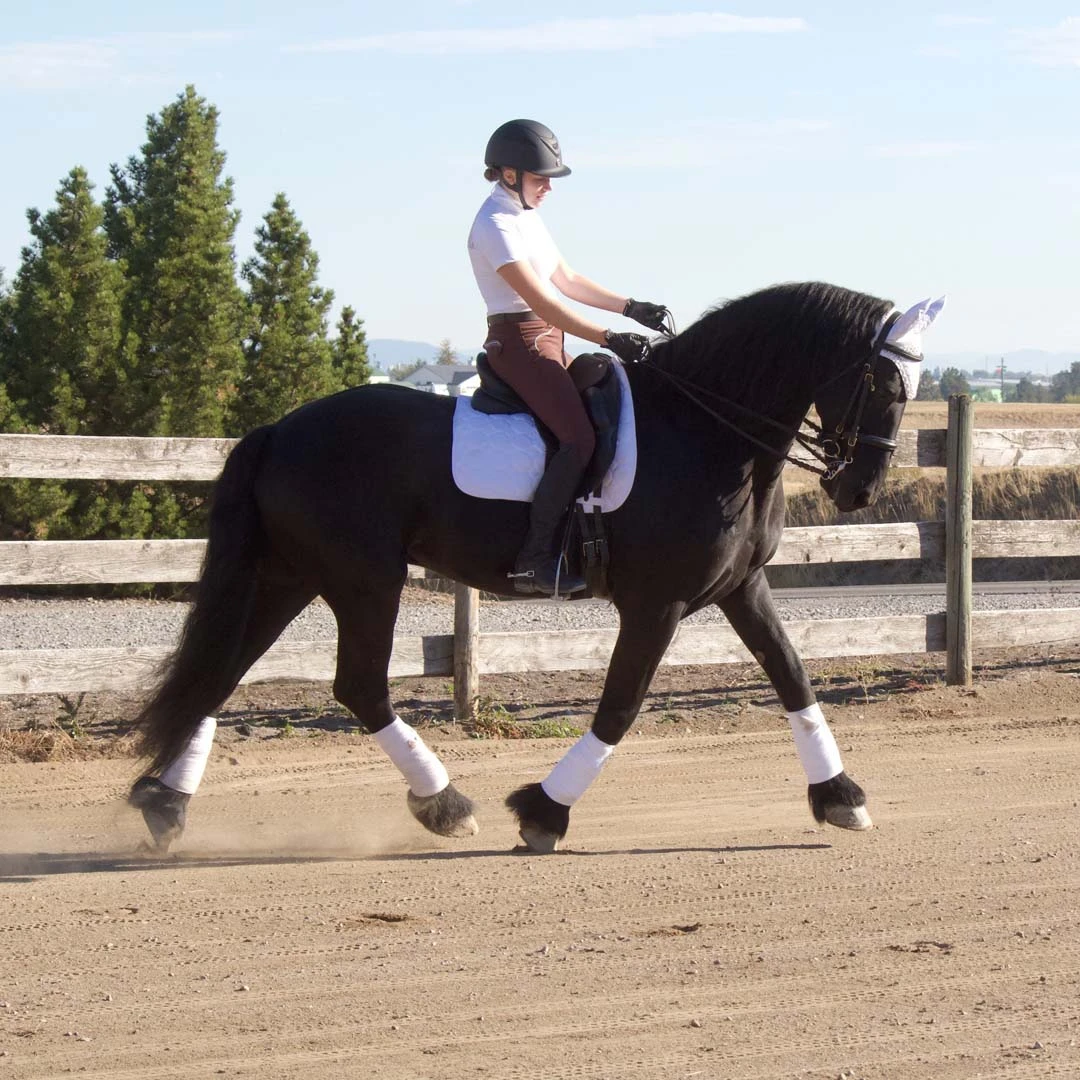 Equine Couture Fly Bonnet With Pearls And Crystals - Image 7