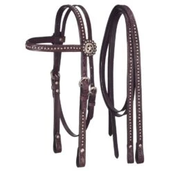 Tough-1 Headstall With Reins W/ Dots And Star Conchos