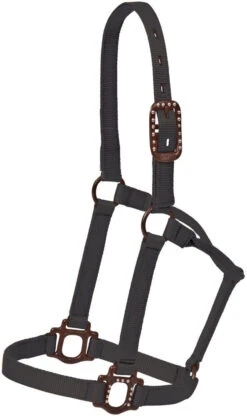 Mustang Antique Dot Halter