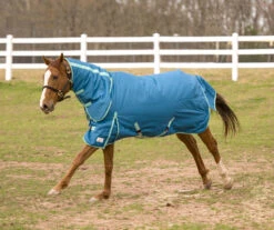 TUFFRIDER ECORIDER 1200 D MEDIUM WEIGHT TURNOUT BLANKET W/ COMBO NECK 250 GMS